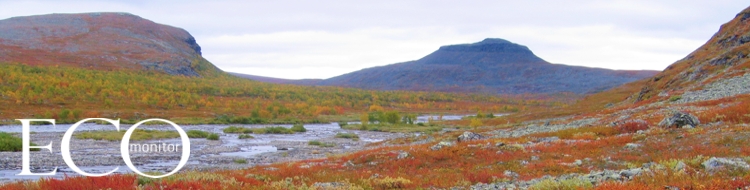 Ecomonitor